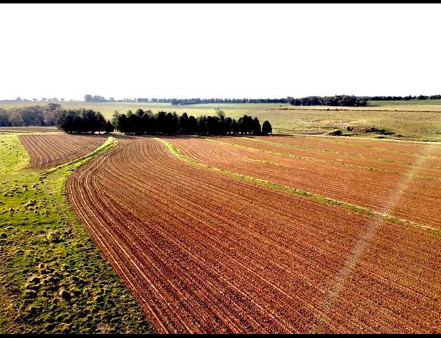 FARM FOR SALE IN BETHLEHEM RURAL